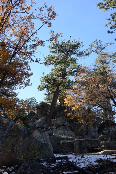 DSC_5154 (Large).JPG